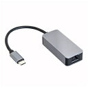 CENTURY(Z`[) LANϊA_v^ [USB-C IXX LAN] 2500MbpsΉ(Mac/Windows11Ή) CCA-UCL25 CCAUCL25