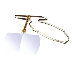 北陸ベンディング SABAE LOUPE さばえルーペVer.2 ピンクゴールド2.0倍 SLB-10120PG SLB10120PG