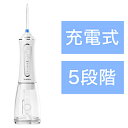 SARLISI 口腔洗浄器 Sarlisi WH SAKK08 SAKK08