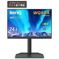 BenQ(ベンキュー) USB-C接続 PCモニター カラーマネジメント SW242Q-JP ［24.1型 /WQXGA(2560×1600） /ワイド /76Hz］ SW242QJP