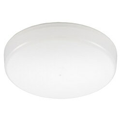 オーム電機 LEDミニシーリングライト100形1650ルーメン昼光色 LE-Y13B-WD ［昼光色 /LED］ LEY13BWD