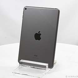 【中古】Apple(アップル) iPad mini 第5世代 256GB スペースグレイ MUU32J/A Wi-Fi【291-ud】