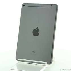 【中古】Apple(アップル) iPad mini 第5世代 256GB スペースグレイ MUXC2J/A SoftBank【291-ud】
