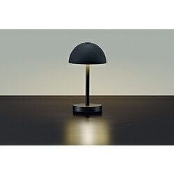 Floor Lamps - 大光電機 LEDインテリアスタンド DXL-81495 ［LED /電球色］ DXL81495