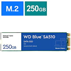 Western Digital 内蔵SSD WD Blue SA510 WDS250G3B0B ［250GB /M.2］ WDS250G3B0B