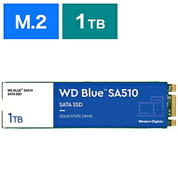 Western Digital 内蔵SSD WD Blue SA510 WDS100T3B0B ［1TB /M.2］ WDS100T3B0B [振込不可]