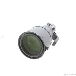 Nikon AF-S NIKKOR 180-400mm f/4E TC1.4 FL ED VR 製品画像