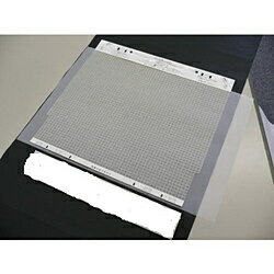 ダイキン KAF979B4　バイオ抗体フィルター KAF979B4