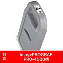 Canon(Lm) yz PFI-1700PBK v^[CN imagePROGRAF tHgubN PFI1700PBK