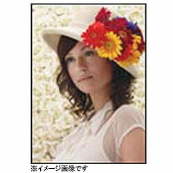 EPSON(エプソン) 【純正】 PXMC24R1 PX/MC写真ロール（厚手光沢） PXMC24R1