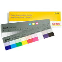 Kodak(コダック) カラーセパレーションガイド＆グレースケール8”　Q-13 Q13 その1