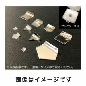 【アズワン AS ONE】アズワン 分銅 F-1級 100mg 3-1587-12