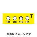 【アイピー技研 IPL】アイピー技研 MN-T ヒートラベル 不可逆性(4)