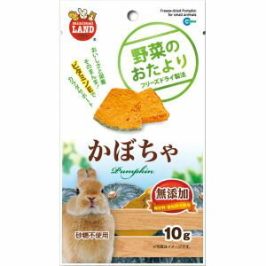 マルカン 野菜のおたより かぼちゃ 10g うさぎ モルモット おやつ 餌