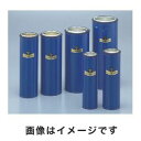 【アズワン AS ONE】アズワン デュワーフラスコ 細口シリンダー型 300mL 4-5328-01 1C