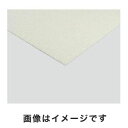 【アズワン AS ONE】アズワン ポリプロピレン製フィルター板 100μm 300×300×5.0 3-2527-03