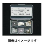 【東京サイエンス】東京サイエンス 岩石標本(岩石標本変成岩6種) 3-657-03