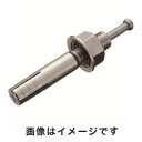 【トラスコ TRUSCO】トラスコ オールアンカーSCタイプ M16×120 2本入 SC-1612BT