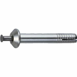 【トラスコ TRUSCO】トラスコ オールアンカーSTタイプ ステンレス 5×30 10本入 ST-530BT