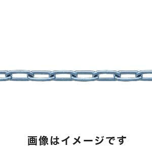 【特長】●切断済みチェーンですので、すぐにご使用いただけます。【用途】●間仕切り・転倒防止。【仕様】●全長(m):3●使用荷重(kN):1.47●線径d(mm):4.8●内長P(mm):27●内幅W(mm):7●袋入●質量:1.2kg●原産国:中国【材質・仕上】●スチール(SWRM)●表面処理:ユニクロメッキ仕上げ※こちらの商品は、メーカーでの長期欠品や生産終了を理由に、ご注文をキャンセルさせて頂く場合もございますので、あらかじめご了承願います。