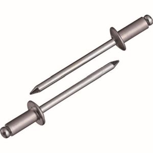 【ロブテックス LOBTEX】ロブテックス NSA66 エビ ブラインドリベット アルミ/スティール 6-6 1000本入