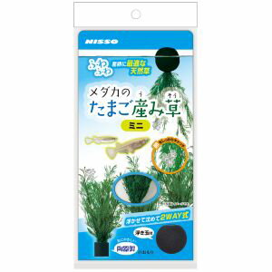 ڥޥ륫 MGۥޥ륫 Τޤߥ