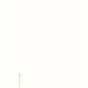 【カンダ】カンダ オードブルピン 6本入 金メッキ 角棒