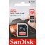 ڥǥ SanDisk ѥåۥǥ SDXC 256GB SDSDUNR-256G-GN3IN UHS-I class10 SD