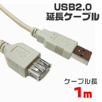 【輸入特価アウトレット】USBケーブ