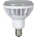 【ハタヤリミテッド HATAYA】ハタヤ LDR40N-H110 40WLED作業灯 交換球 メーカー直送 代引不可 沖縄 離島不可
