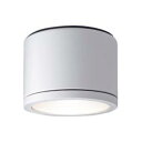【パナソニック Panasonic】パナソニック NNN53820WK LED電球軒下用シーリングライト