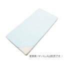 【アズワン AS ONE】アズワン 7-5422-01 全身用パイル防水シーツ(4)