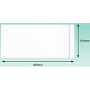 完全密封仕様のため、貼ってから伝票が落ちる心配がありません。チェーンストア統一伝票（5×12インチまでのサイズ）がそのまま入ります。商品と同時に発送できる伝票入れに。（納品書や請求書など）表示内容：無地縦(mm)：145横(mm)：320ポリエチレン（PE）製造国:中国トラスコ発注コード:390-5870
