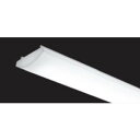 送料無料!!【遠藤照明 ENDO】遠藤照明 RAD833W 軒下SOLID 110WX2灯 10000lm 4000K メーカー直送 代引不可 北海道沖縄離島不...