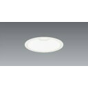 送料無料!!【遠藤照明 ENDO】遠藤照明 ERD6789W 軒下用ダウン 2000タイプ 5000K 超広角 メーカー直送 代引不可 北海道沖縄離島不可【sm...