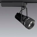 送料無料!!【遠藤照明 ENDO】遠藤照明 ERS5356B DUAL D300 3000K 超広角 非調光 メーカー直送 代引不可 北海道沖縄離島不可【smt...