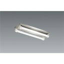 送料無料!!【遠藤照明 ENDO】遠藤照明 ERK9024S SUS防湿形 防雨形逆富士形20W×2灯タイプ メーカー直送 代引不可 北海道沖縄離島不可【smt...