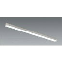 送料無料!!【遠藤照明 ENDO】遠藤照明 ERK9123WA 直付 反射笠付 110W 2灯 メーカー直送 代引不可 北海道沖縄離島不可【smtb-u】