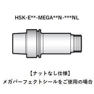 羼BIG DAISHOWA HSK-E50-MEGA20N-100NL ᥬ˥塼٥ӡå/ʥåȤʤ E DIN 69893-5 ᡼ľ Բ ̳ƻΥԲ