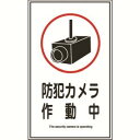 【日本緑十字社】緑十字 47123 イラストステッカー標識 防犯カメラ作動中 貼123 200×120mm 10枚組