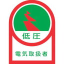 【日本緑十字社】日本緑十字社 233059 ヘルメット用ステッカー 低圧電気取扱者 HL-59 35×25mm 10枚組 オレフィン