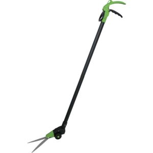 ФŷԾŹ㤨֡ DAISHIN 702932 뷯2 ᡼ľ Բ ̳ƻΥԲġפβǤʤ3,012ߤˤʤޤ