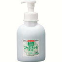 香料配合タイプ（フレッシュシトラスグリーンの香り）です。手洗いと同時に殺菌・消毒ができます。医薬部外品です。原液使用で、液性は弱アルカリ性です。泡タイプの機器・容器におすすめです。皮膚の殺菌・消毒・洗浄。容量(ml)：500幅(mm)：98奥行(mm)：69高さ(mm)：210殺菌剤(イソプロピルメチルフェノール)配合概観：緑色透明の液体液性：弱アルカリ性原液使用吐出量(mL/回)：約1成分：イソプロピルメチルフェノール、エデト酸塩製造国:日本トラスコ発注コード:208-2979