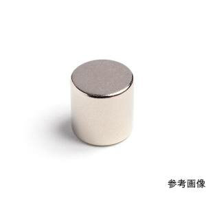 【二六製作所】二六製作所 NE620 ネオジム Φ10×10 N55