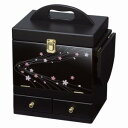 送料無料!!【萩原】萩原 MUD-6163BK コスメボックス ブラック メーカー直送 代引不可 北海道沖縄離島不可【smtb-u】