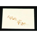 【アーテック】アーテック 尺三 懐石まっと クリーム 100枚入 WSS-4 桜 2月~4月