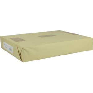 【キングコーポ】キングコーポ EBA3100 エコボールA3判 303×424mm 100枚入