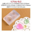 【亀島商店】亀島商店 レジンクラフト用 ソフトモールド リアルいちご C-404 5.3×3.4×D1.2cm