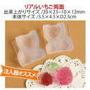 【亀島商店】亀島商店 レジンクラフト用 ソフトモールド C-490 リアルいちご両面 3.5×4.5×D2.5cm