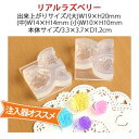 【亀島商店】亀島商店 レジンクラフト用 ソフトモールド C-496 ラズベリー両面 3.7×3.5×D1.5cm